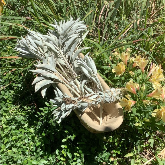 White Sage 1 Stick 10” Organic Home Decor - Picture 4 of 15